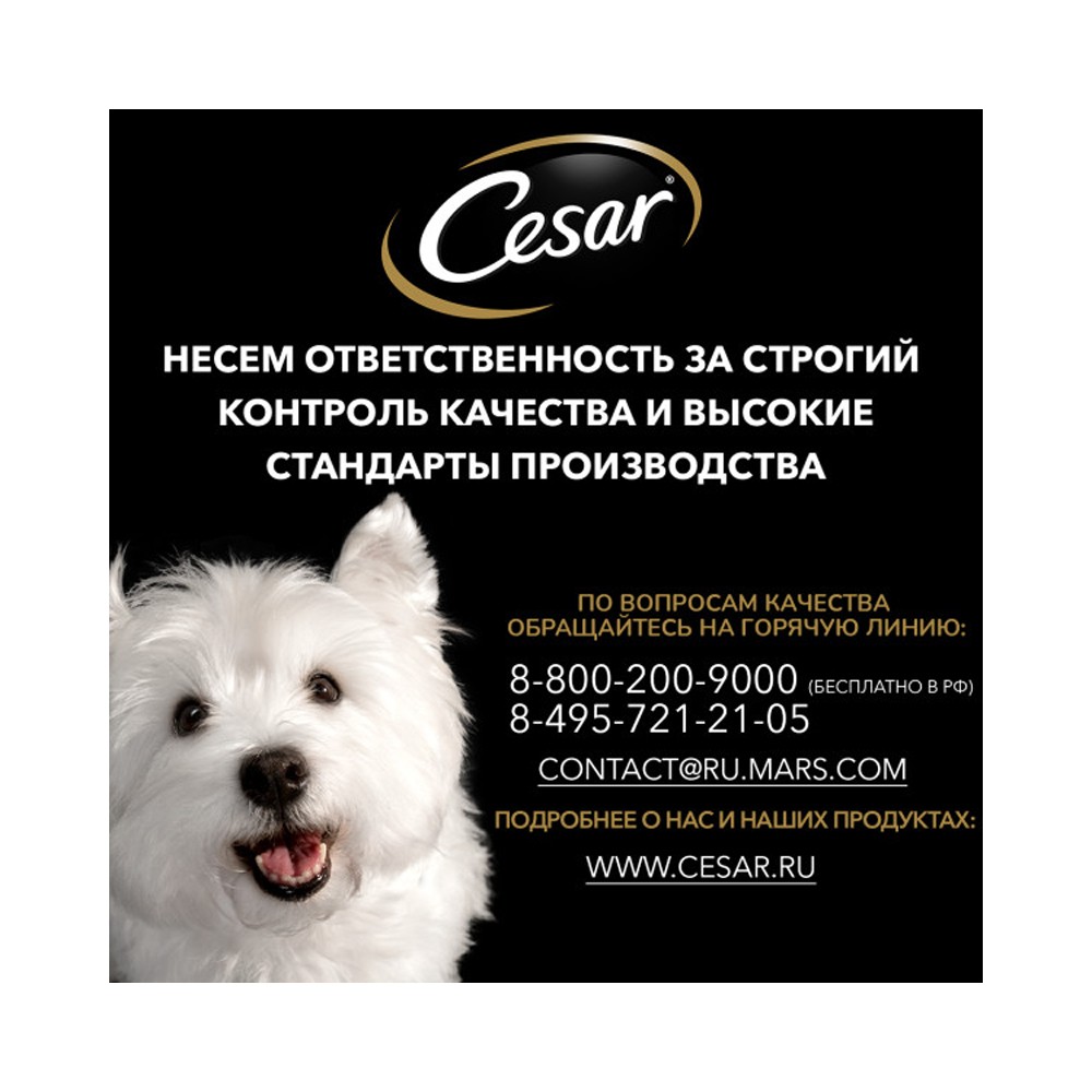 Корм для собак CESAR паштет с ягненком пауч