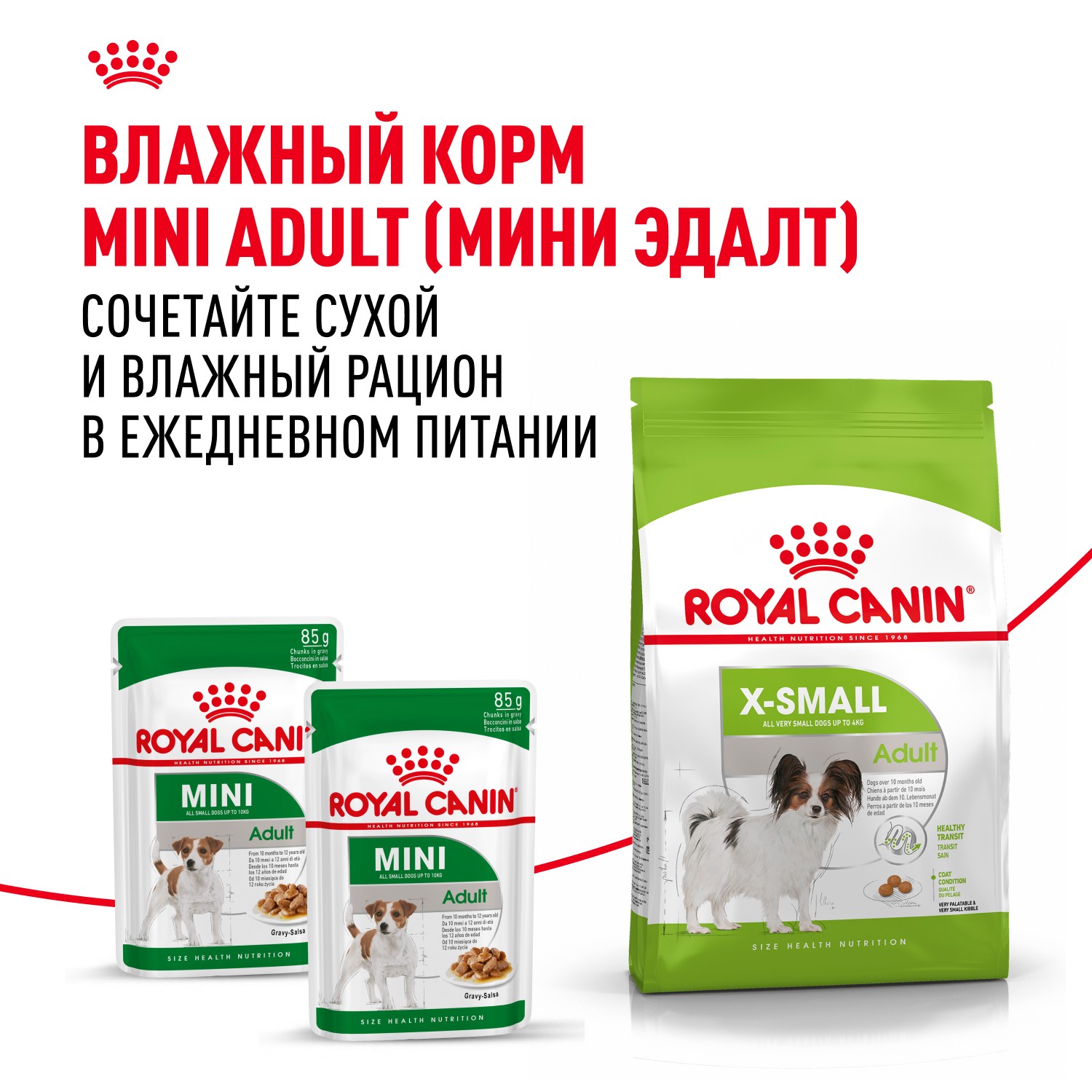 Корм для собак ROYAL CANIN Size X-Small Adult для миниатюрных пород от 10 месяцев до 8 лет сух.