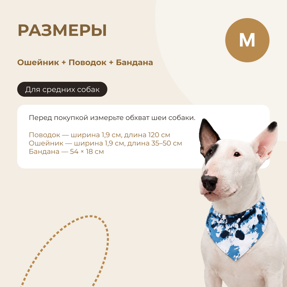 Комплект амуниции для собак FOXIE Gift M голубой