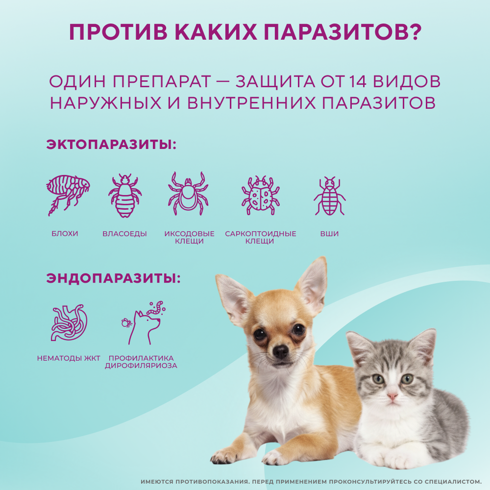 Капли на холку для кошек и собак INSPECTOR mini от клещей, блох и глистов 0,5-2кг 3 пипетки