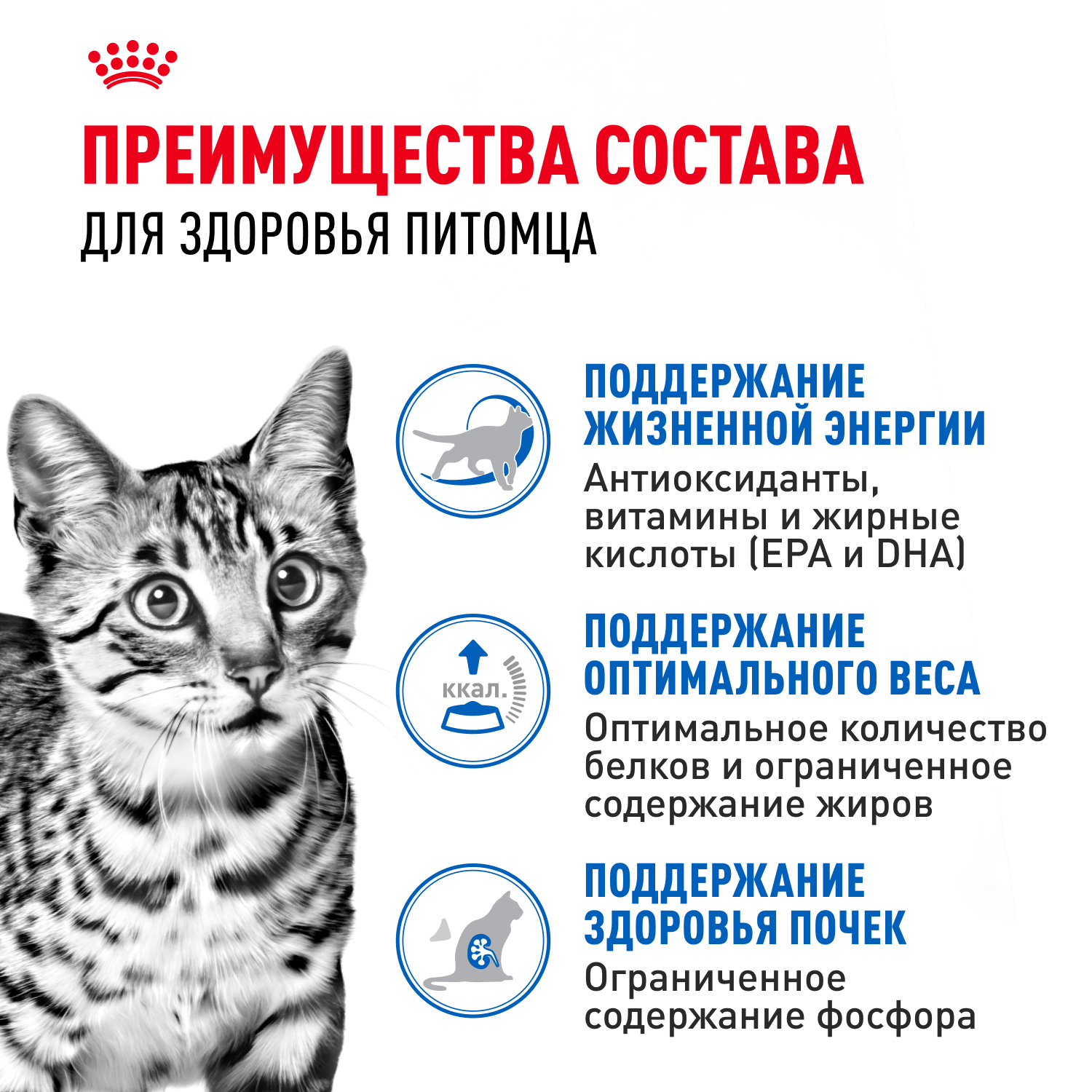 Корм для кошек ROYAL CANIN Indoor 7+ для домашних старше 7 лет (соус) пауч