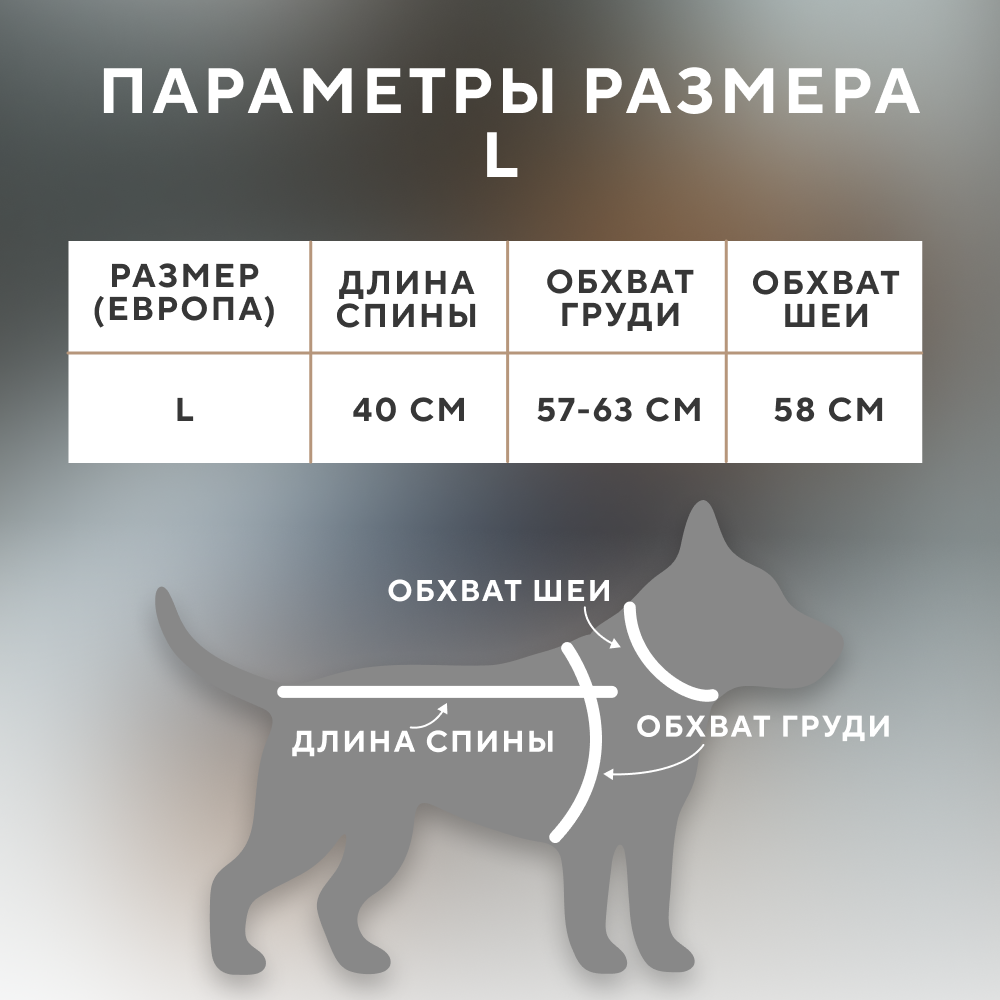 Жилет для собак FOXIE Delicate velvet серый