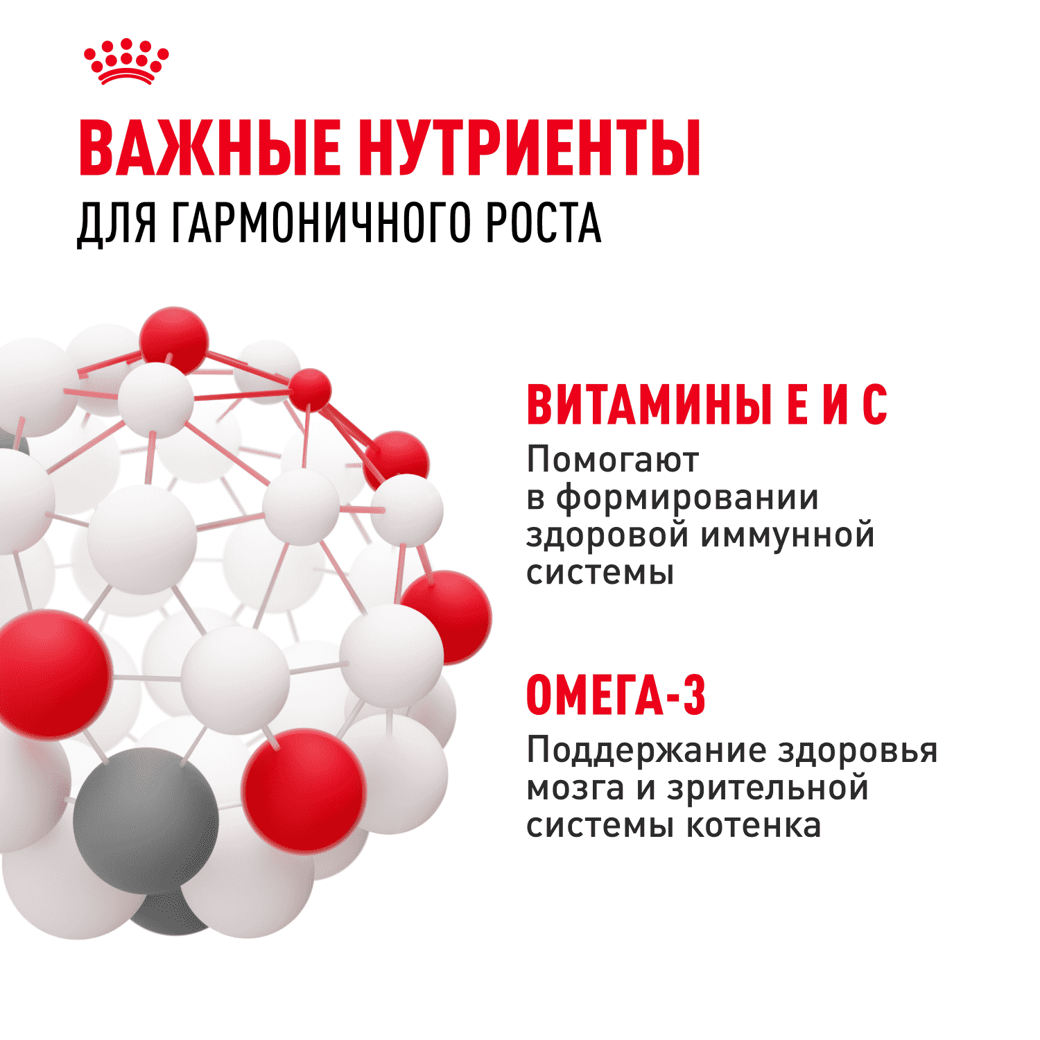 Корм для котят ROYAL CANIN в период третьей фазы роста до 12 месяцев, мясо в соусе пауч