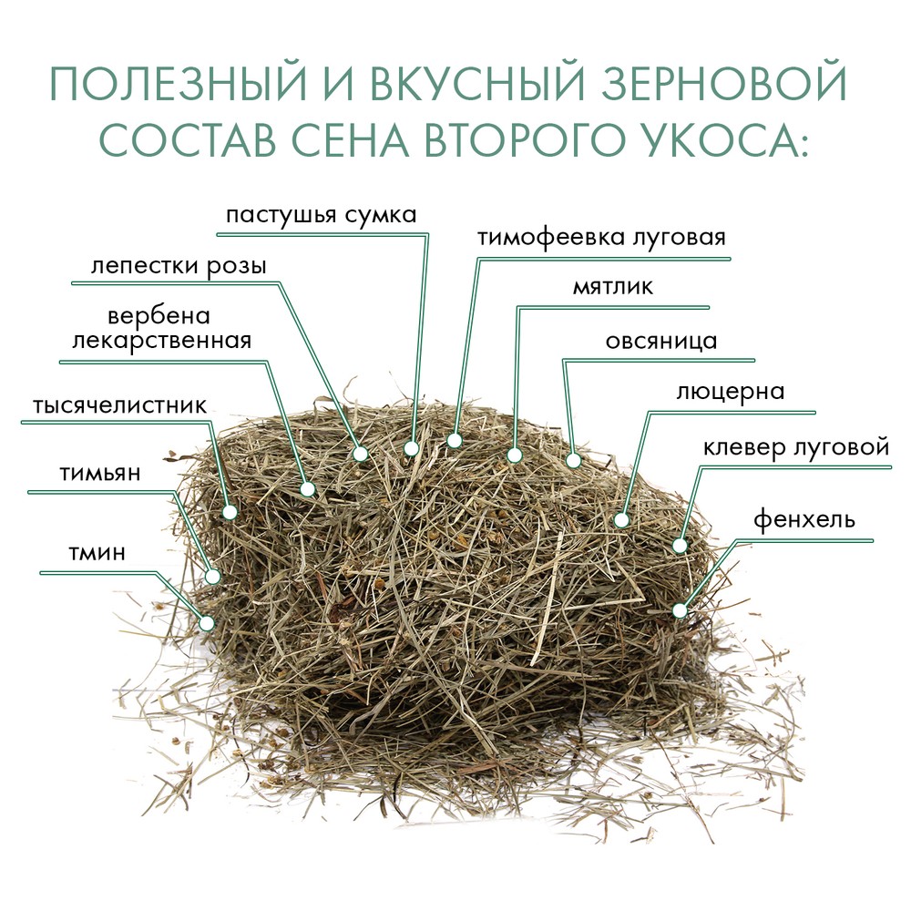 Корм для грызунов FIORY Fieno Alpiland Camomile сено с ромашкой 500г