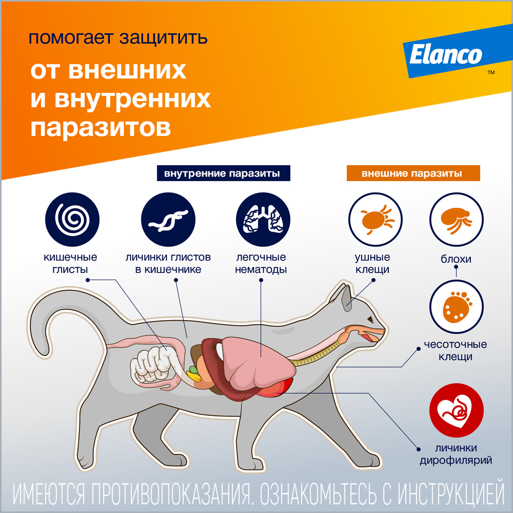 Капли для кошек ELANCO Адвокат от чесоточных клещей, блох и гельминтов (до 4кг веса) 0,4мл,1 пип.в уп