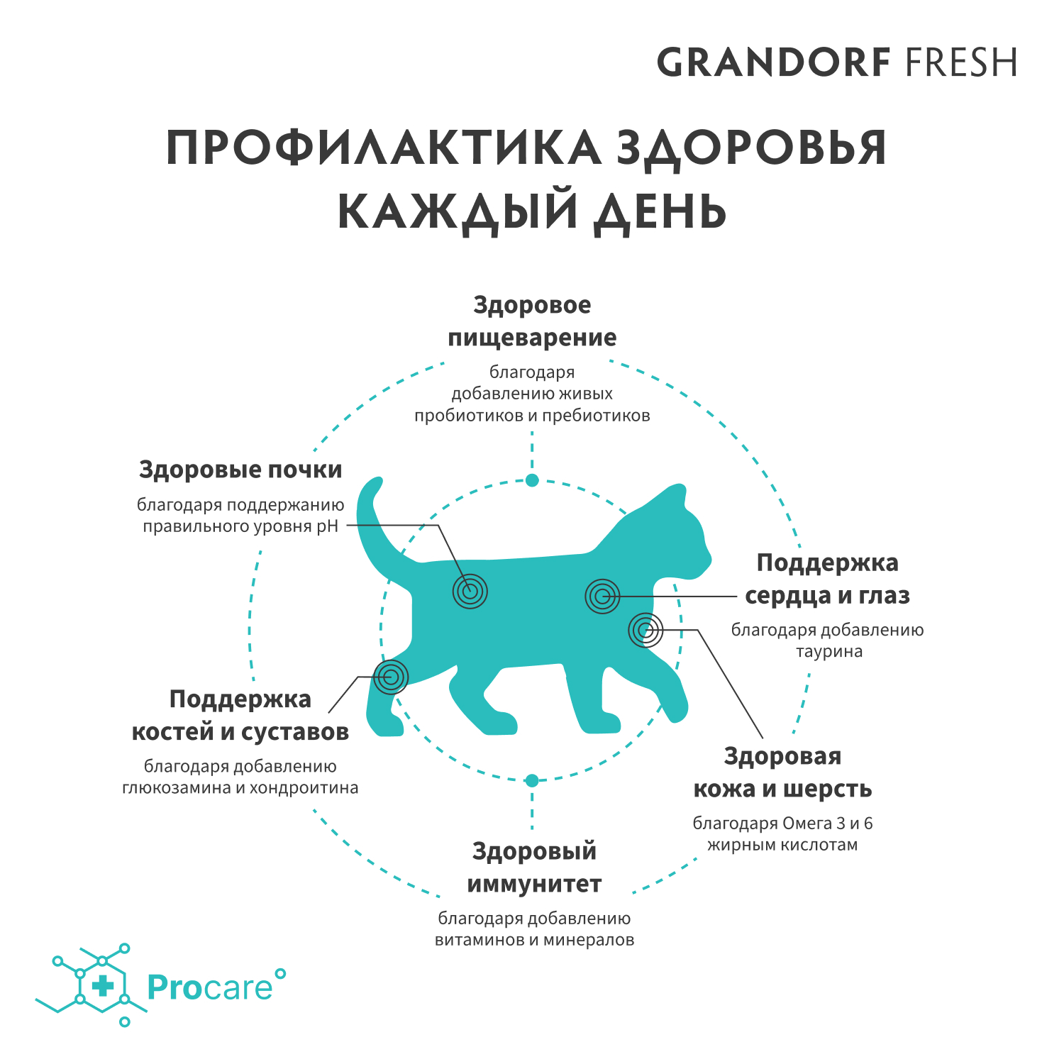 Беззерновой корм с живыми пробиотиками для котят GRANDORF Fresh Cat Свежее мясо ягненка с бататом сух.