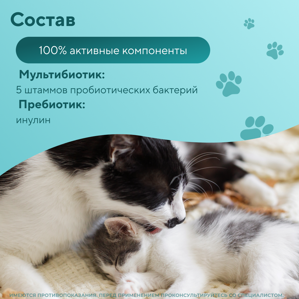 Синбиотический комплекс для собак VEDA My Totem Actiflora мультипробиотик и пребиотик 30шт