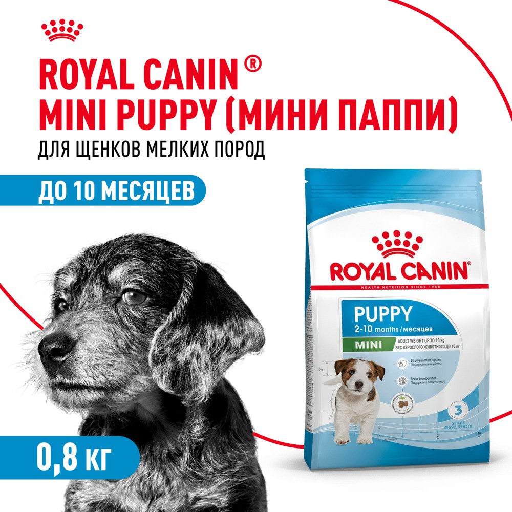 Корм для щенков ROYAL CANIN Mini Puppy для мелких пород с 2 до 10 месяцев сух.