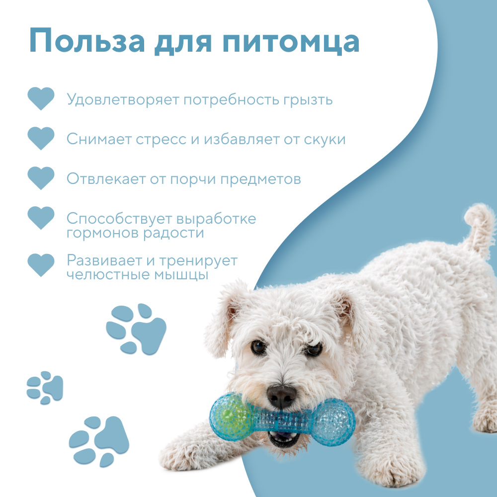 Игрушка для собак FOXIE Гантель с теннисным мячом 17,5x5,8см