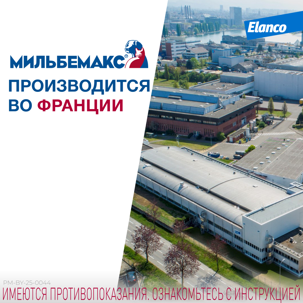 Антигельминтик для кошек ELANCO Мильбемакс (4-8кг), 2 таблетки
