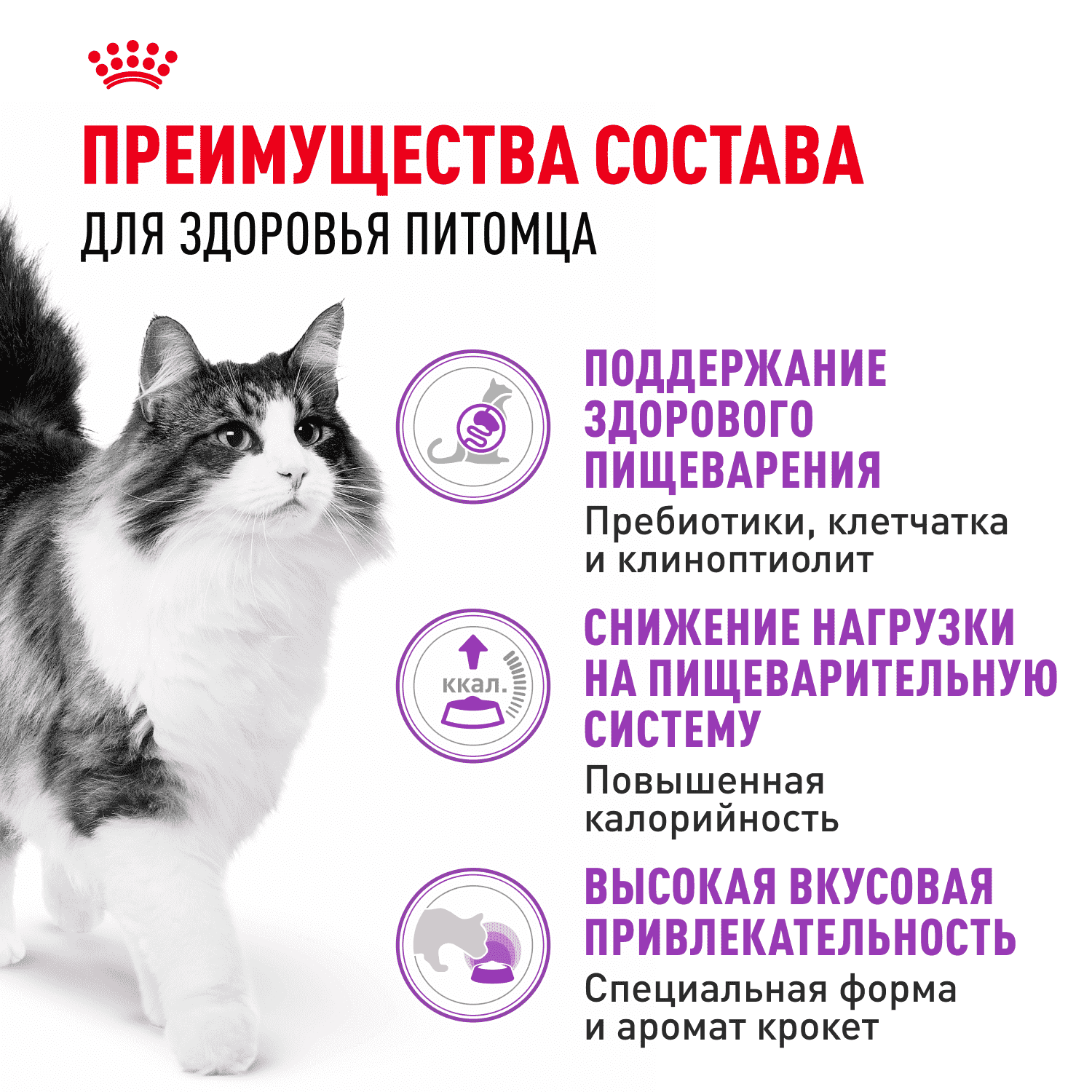 Корм для кошек ROYAL CANIN Sensible с чувствительной пищеварительной системой сух.