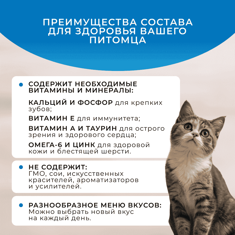 Корм для кошек ОБЖОРКА кусочки в соусе с лососем пауч