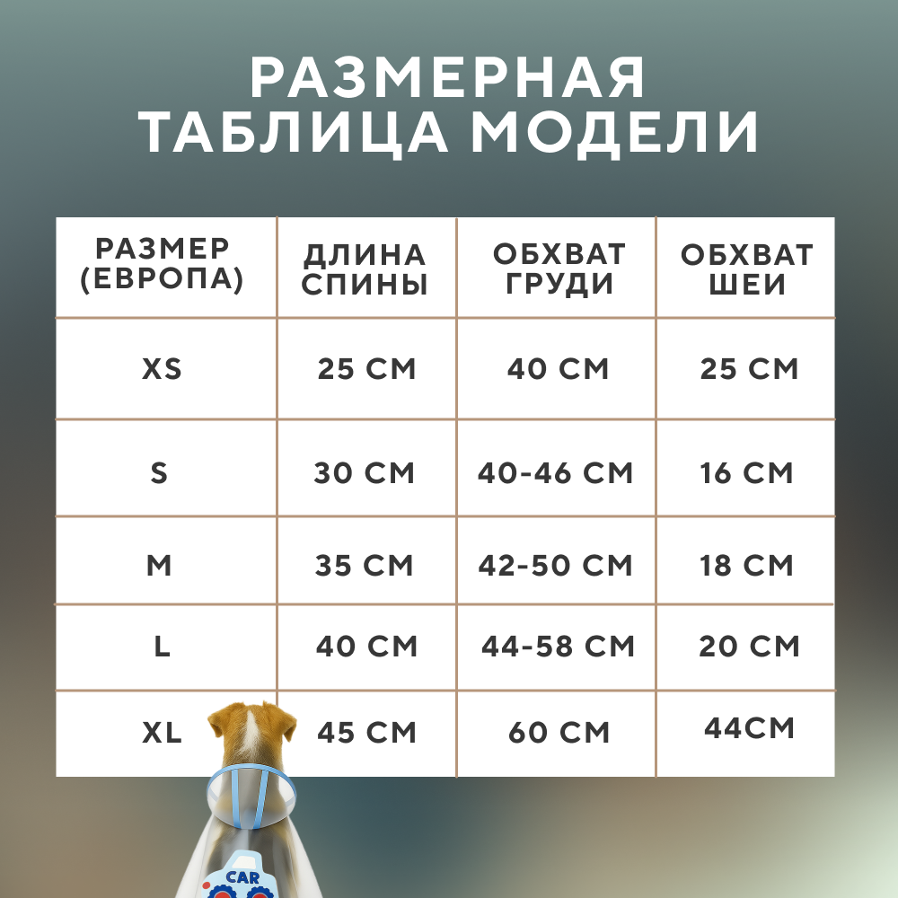 Дождевик для собак FOXIE Rain прозрачный голубой