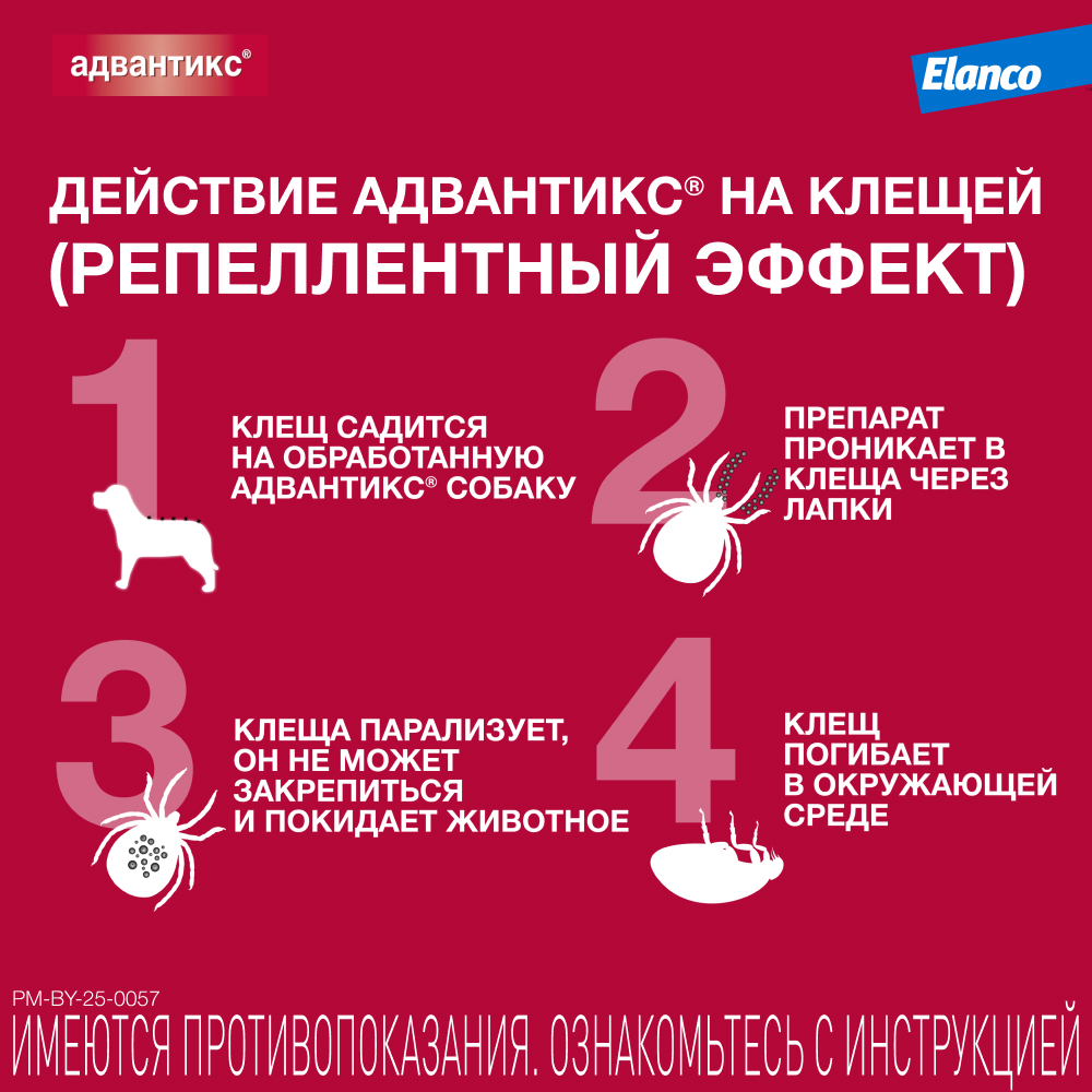 Капли для собак ELANCO Адвантикс от блох, клещей и комаров 40 (до 4кг веса) 1 пипетка в упак.
