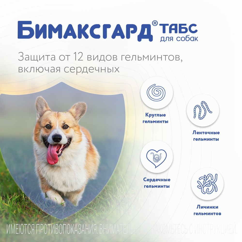 Антигельминтик для для крупных собак NEOTERICA Бимаксгард ТАБС, 2 таб.(более 5кг)