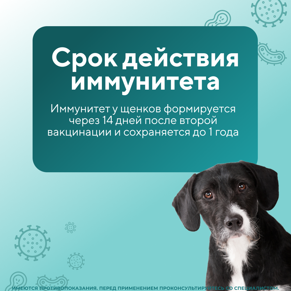 Вакцина для собак НАРВАК Мультикан-4, 1 доза