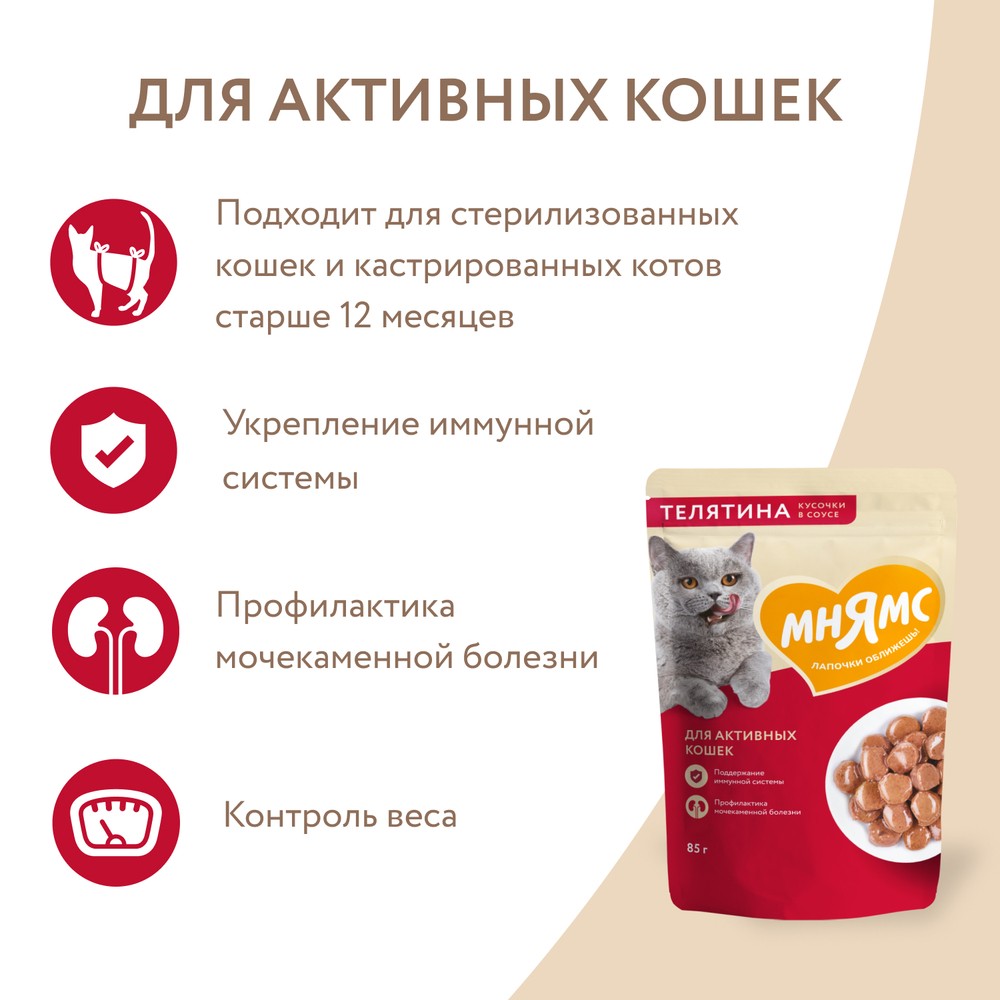 Корм для кошек МНЯМС для активных, кусочки в соусе с телятиной пауч