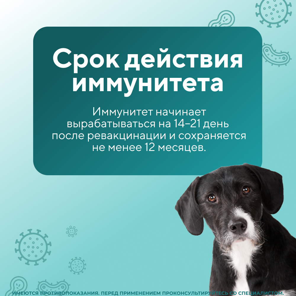Вакцина для собак BIOVETA Биокан DHPPi+LR (10 доз/уп), 1 доза (сухой+жидкий компонент)