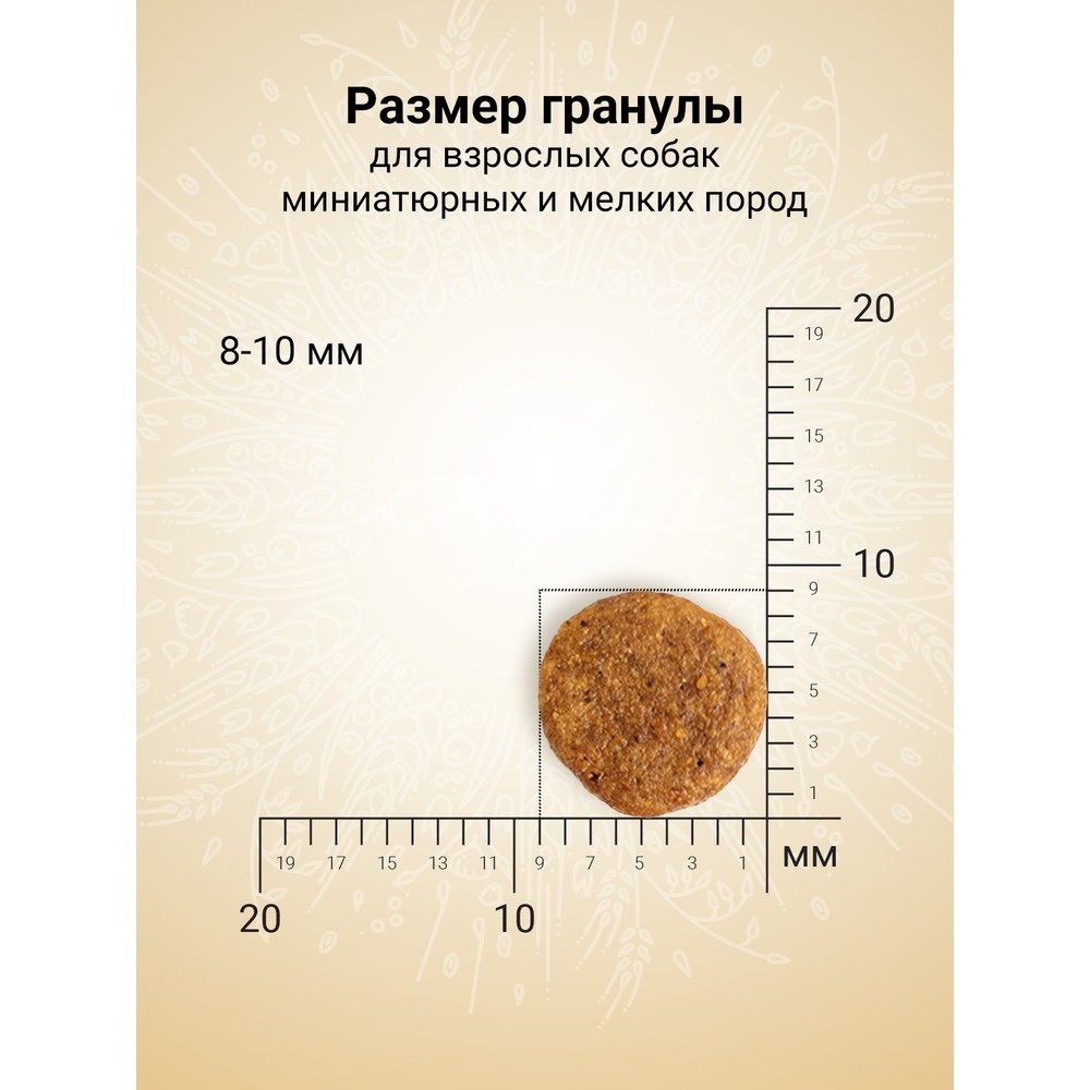Корм для собак CRAFTIA Natura для миниатюрных и мелких пород, лосось с сельдью сух.