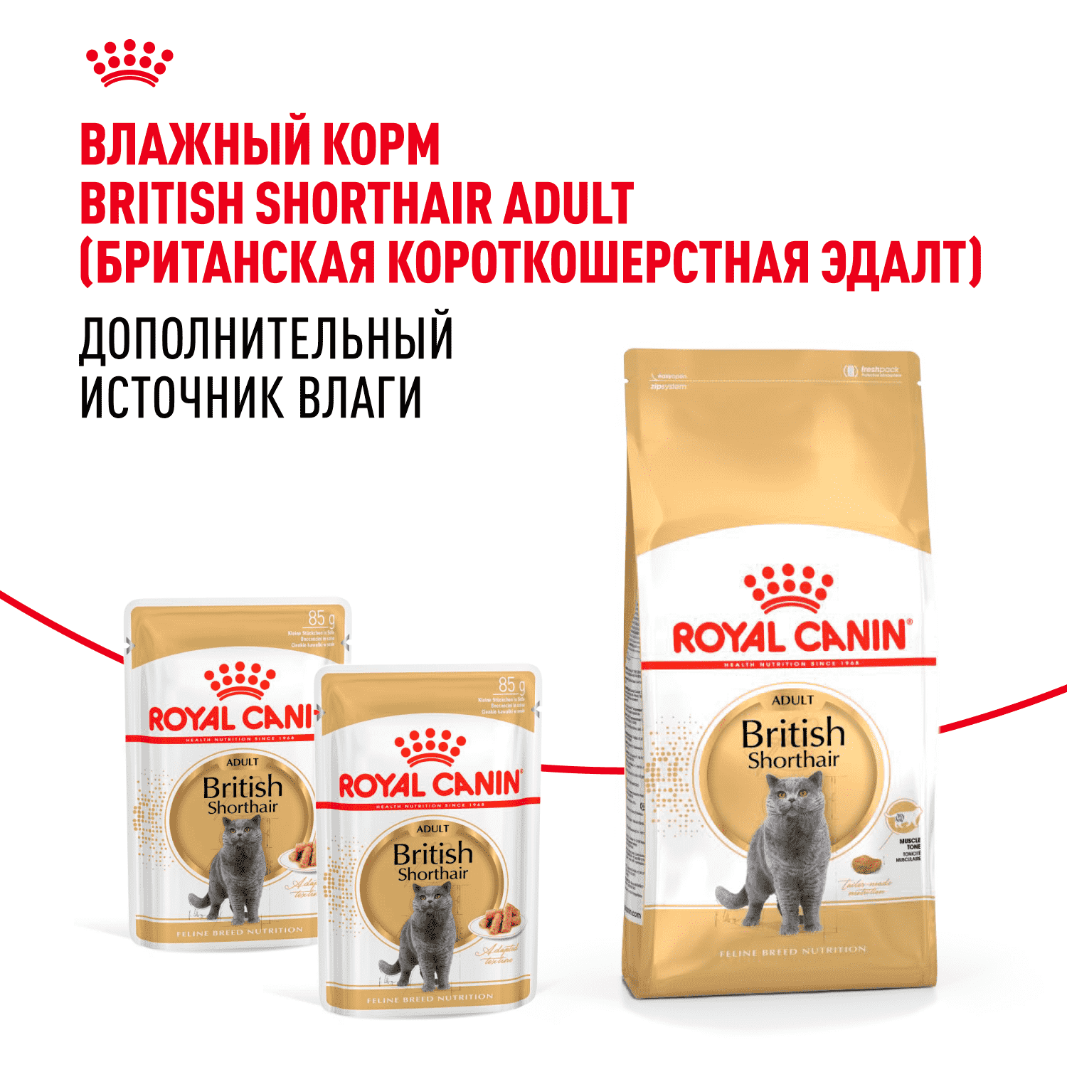 Корм для кошек ROYAL CANIN British Shorthair для породы британская короткошёрстная сух.