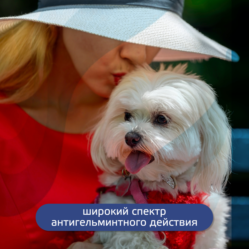 Антигельминтик для щенков и собак KRKA Милпразон, 2 таблетки