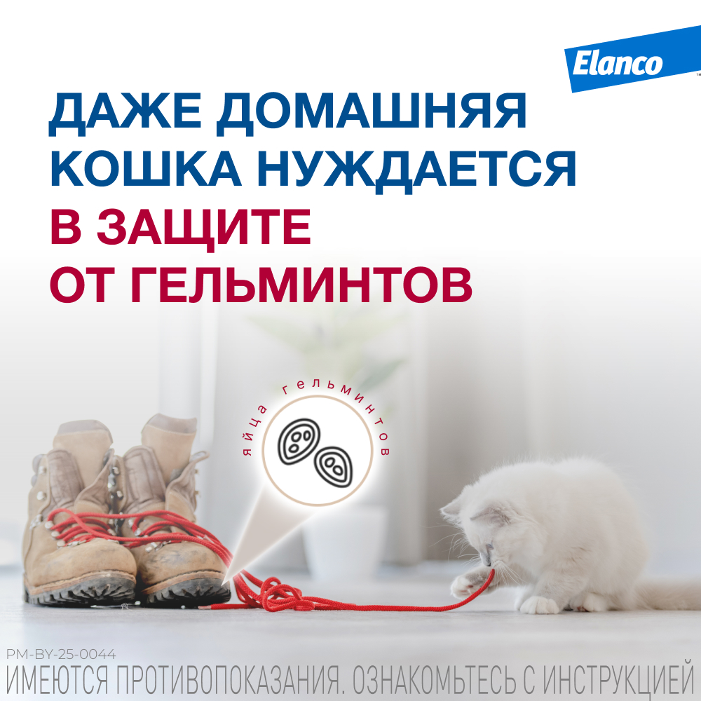 Антигельминтик для котят ELANCO Мильбемакс (2кг), 2 таблетки