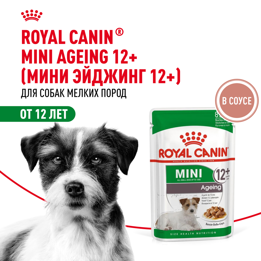 Корм для собак ROYAL CANIN Mini Ageing 12+ для стареющих, мелких пород пауч
