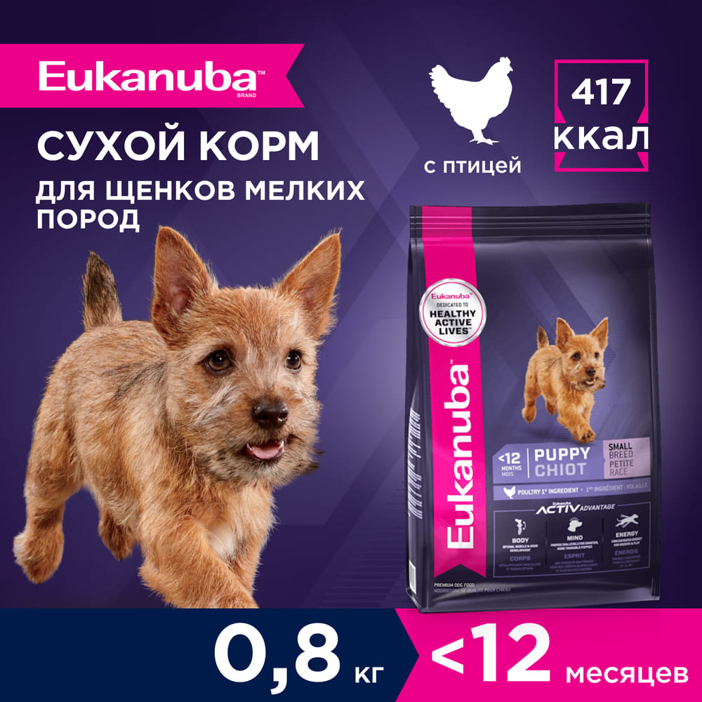 Корм для щенков EUKANUBA Puppy Small Breed для мелких пород сух.