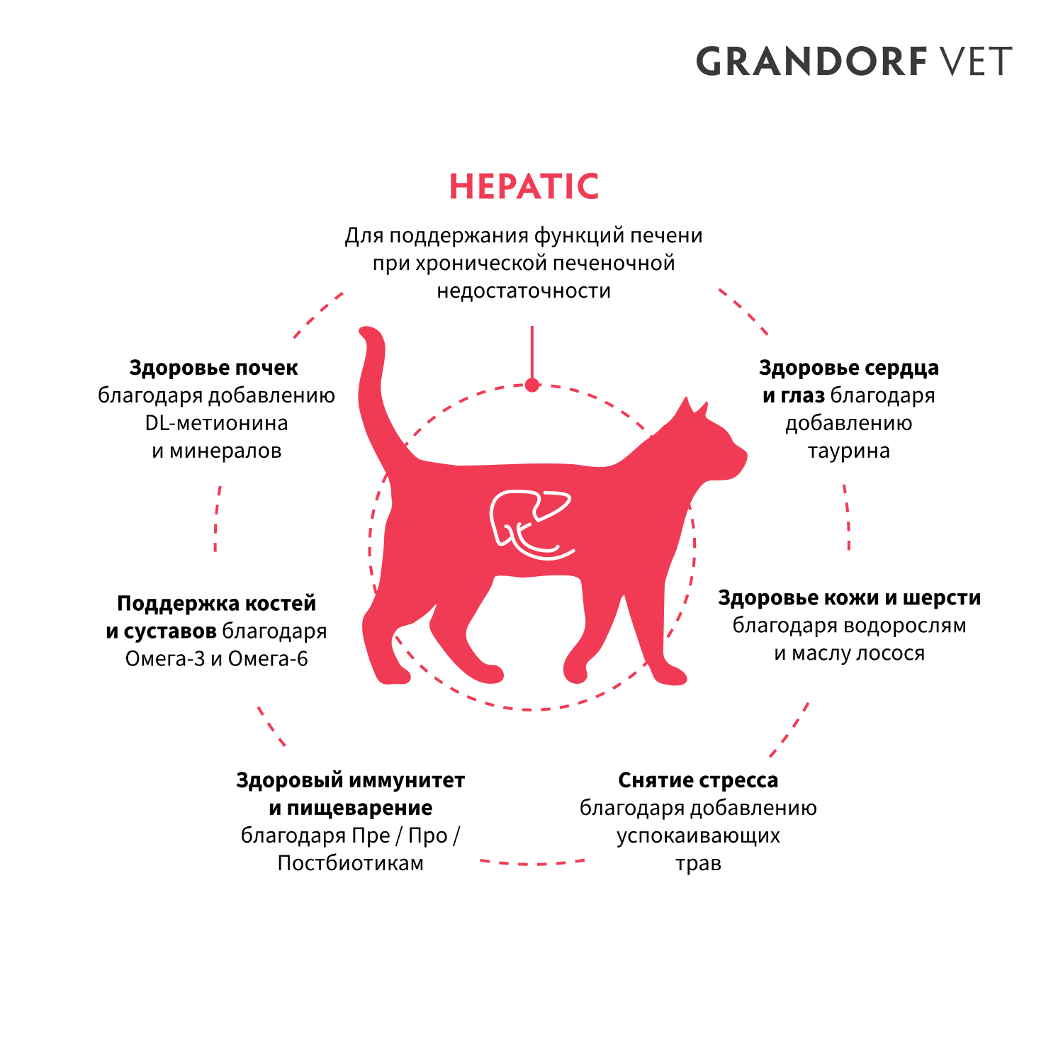 Корм для кошек GRANDORF VETERINARY DIET Cat Hepatic сух.