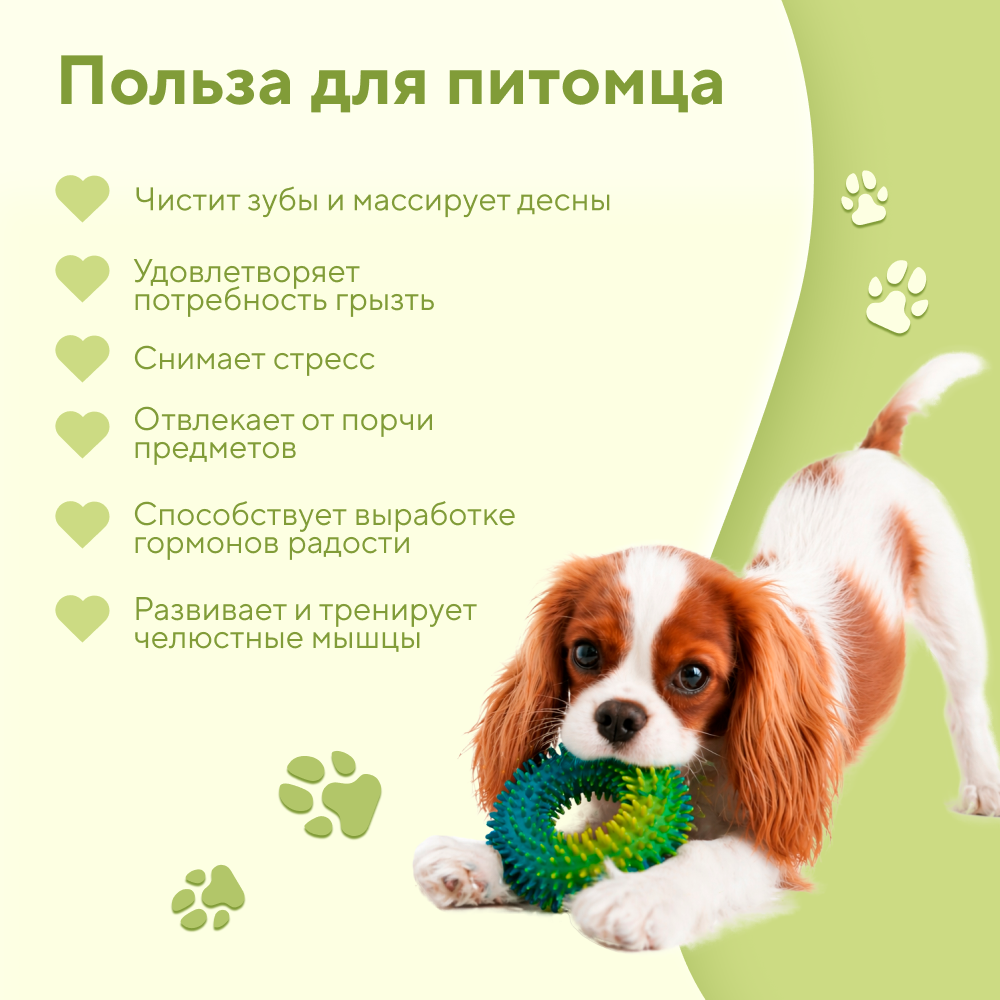 Игрушка для собак FOXIE Бублик массажный плавающий 12,5x4,5см