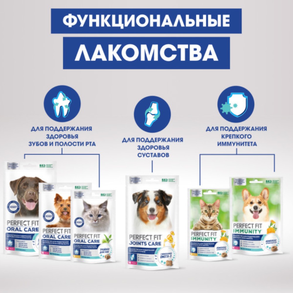 Лакомство для кошек PERFECT FIT Здоровье п/рта курица
