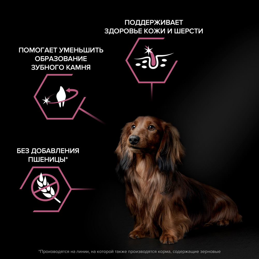Корм для собак PRO PLAN Sensitive Skin для мелких и карликовых пород с чув. кожей, лосось сух.