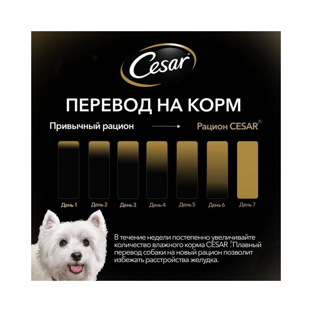 Корм для собак CESAR индейка с горохом и морковью в желе пауч