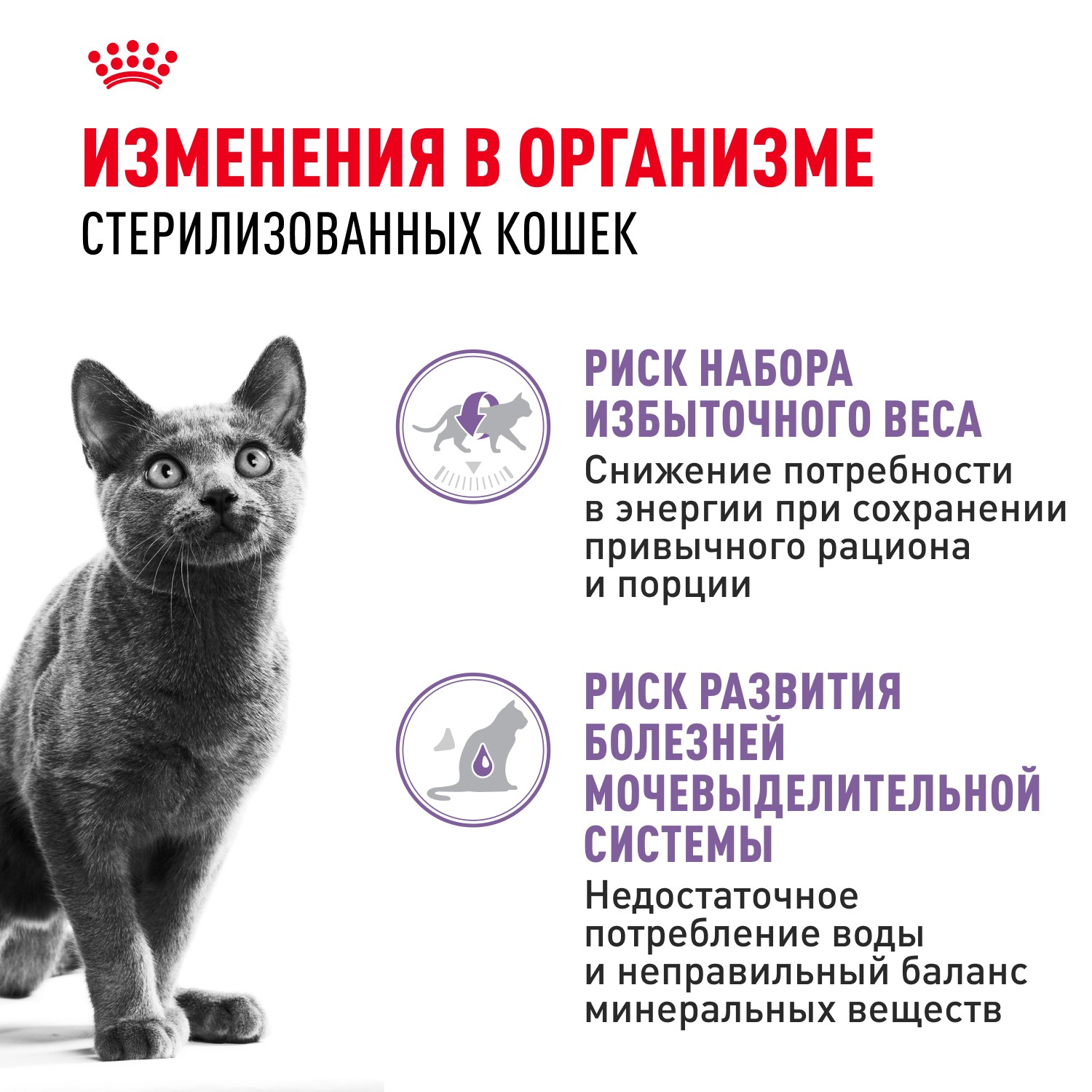 Корм для кошек ROYAL CANIN Sterilised для стерилизованных, мясо в соусе пауч