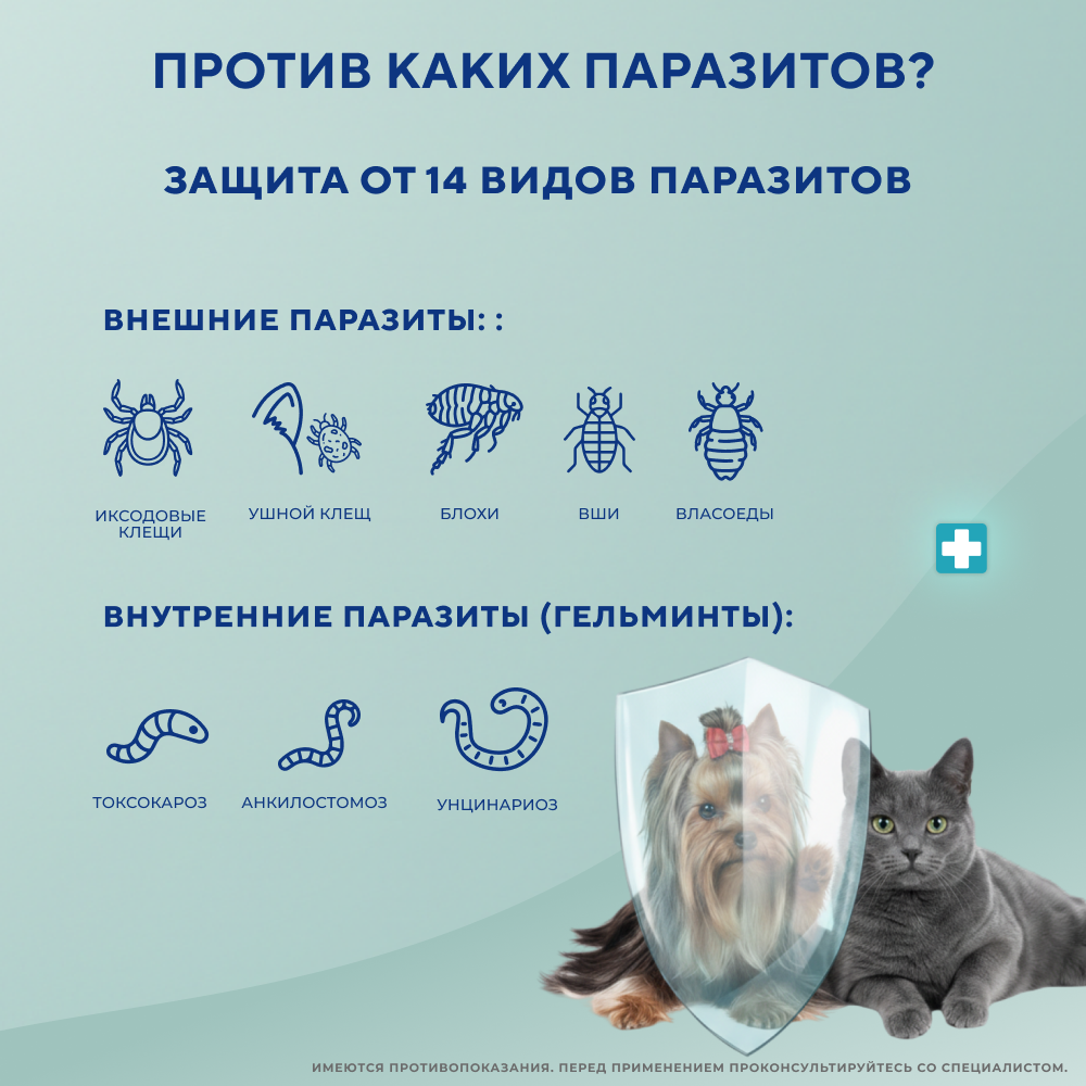 Ошейник для кошек и мелких собак INSPECTOR от блох, клещей и глистов