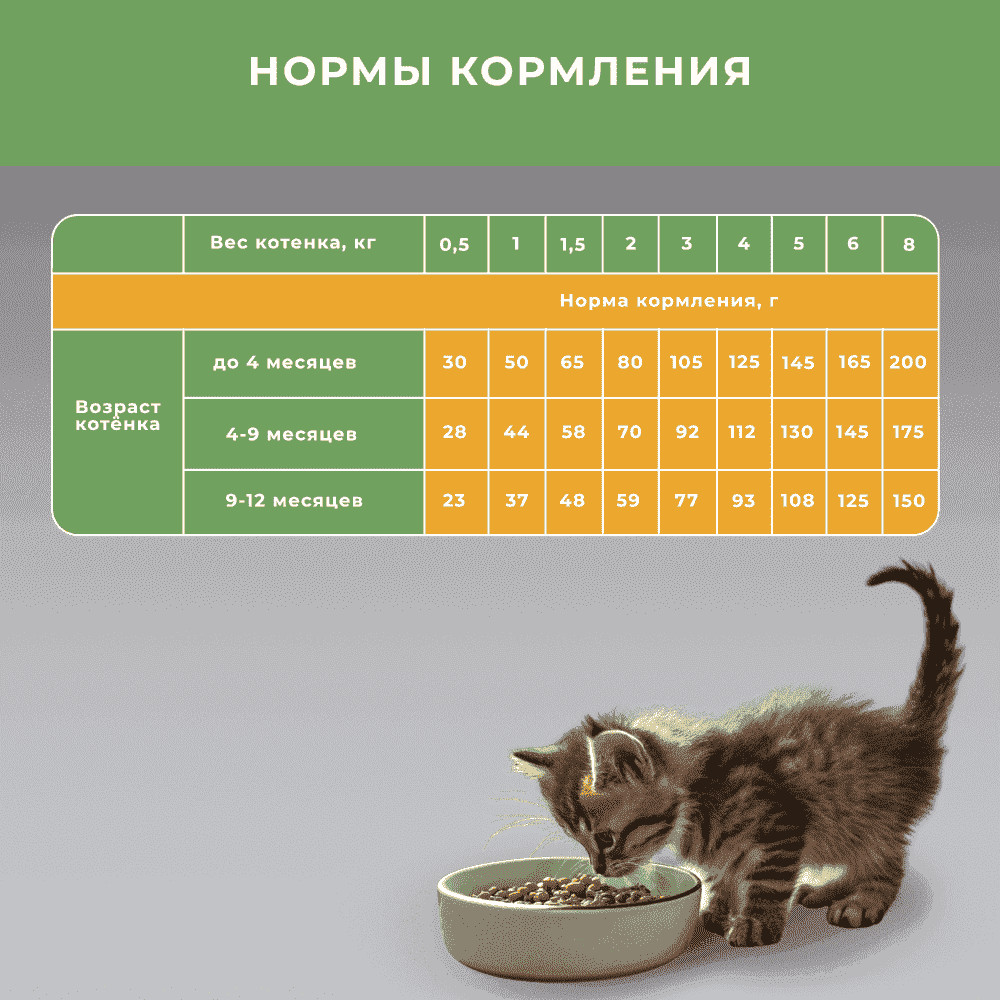 Корм для котят ELATO Holistic курица, утка сух.