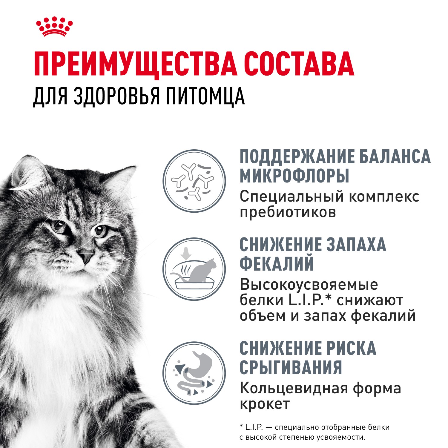 Корм для кошек ROYAL CANIN Digestive Comfort при расстройстве пищеварения сух.