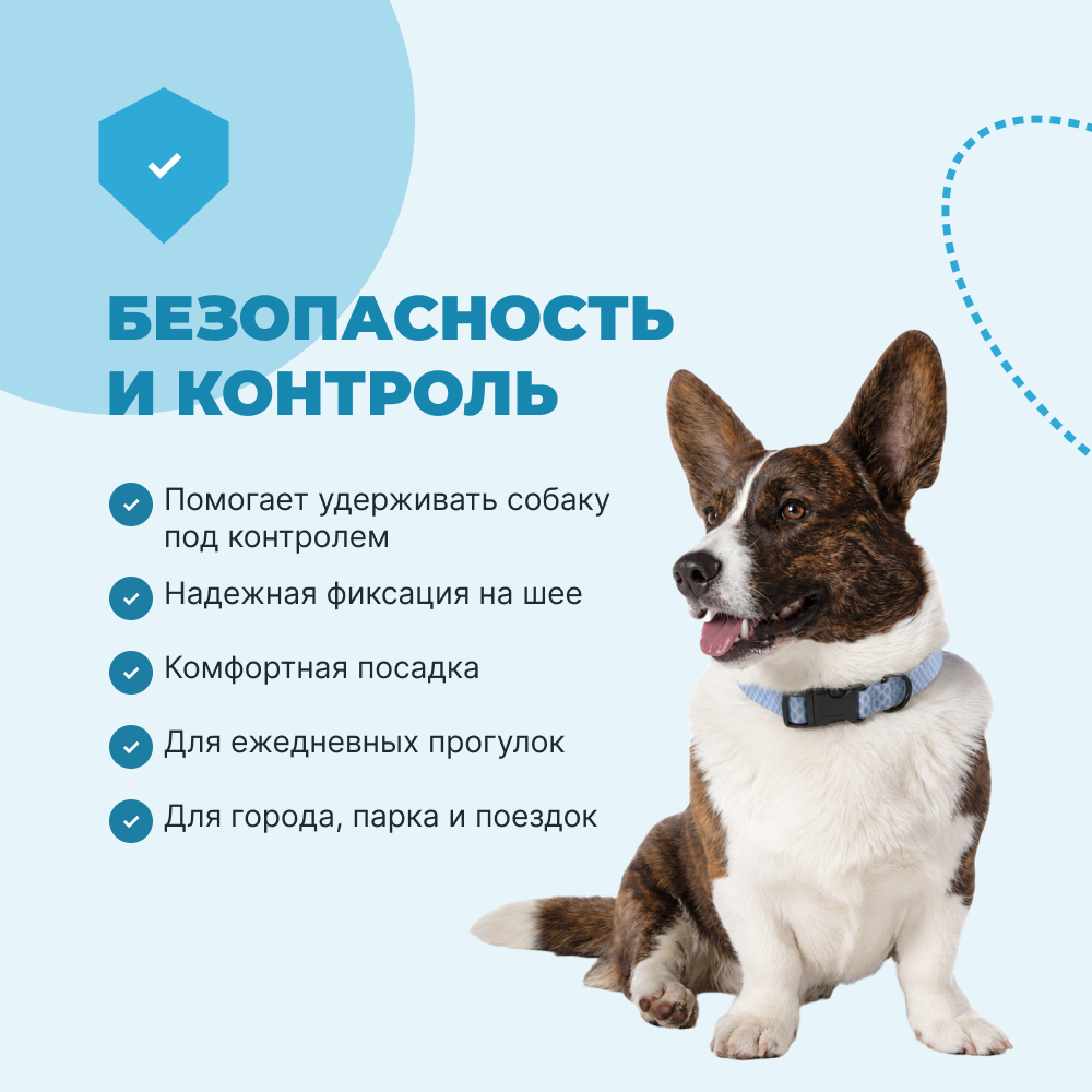 Ошейник для собак FOXIE Fish S 1,5х25-40см голубой