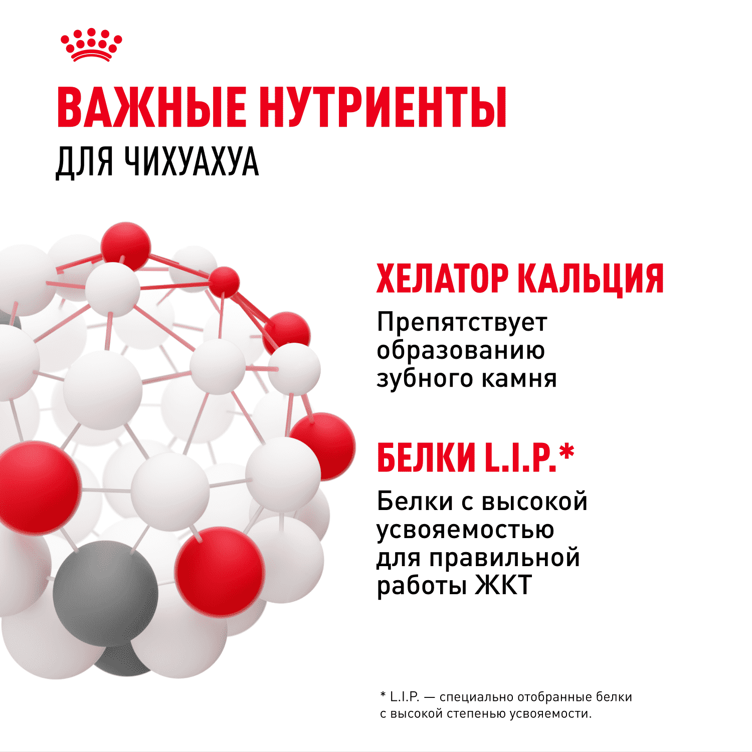 Корм для собак ROYAL CANIN Chihuahua Adult для породы чихуахуа от 8 месяцев сух.