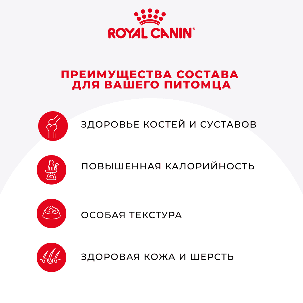 Корм для кошек ROYAL CANIN Maine Coon Adult для породы Мэйн Кун, мясо в соусе пауч