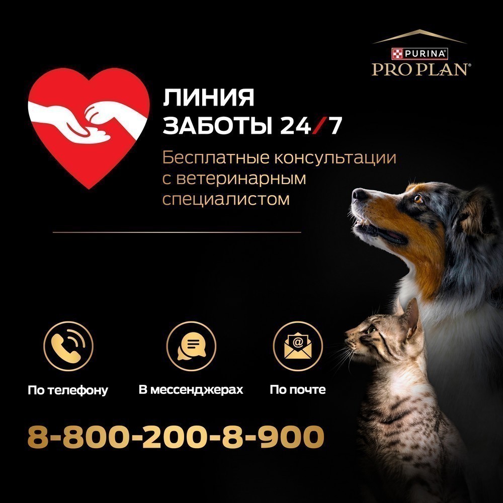 Корм для кошек PRO PLAN Sterilised Maintenance для стерилиз, индейка, океан. рыба пауч 40x85г НАБОР