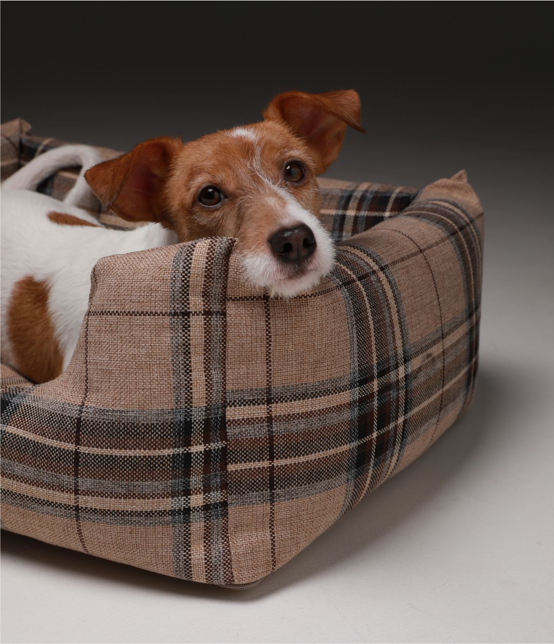 Лежак для животных DOG MODA Клетка со съемным чехлом, бежевый 64x50x22см