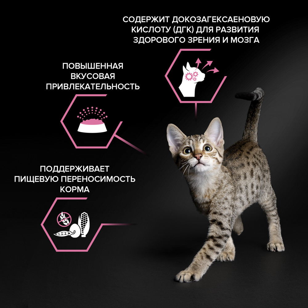 Корм для котят PRO PLAN Delicate с чувствительным пищеварением, с индейкой сух.