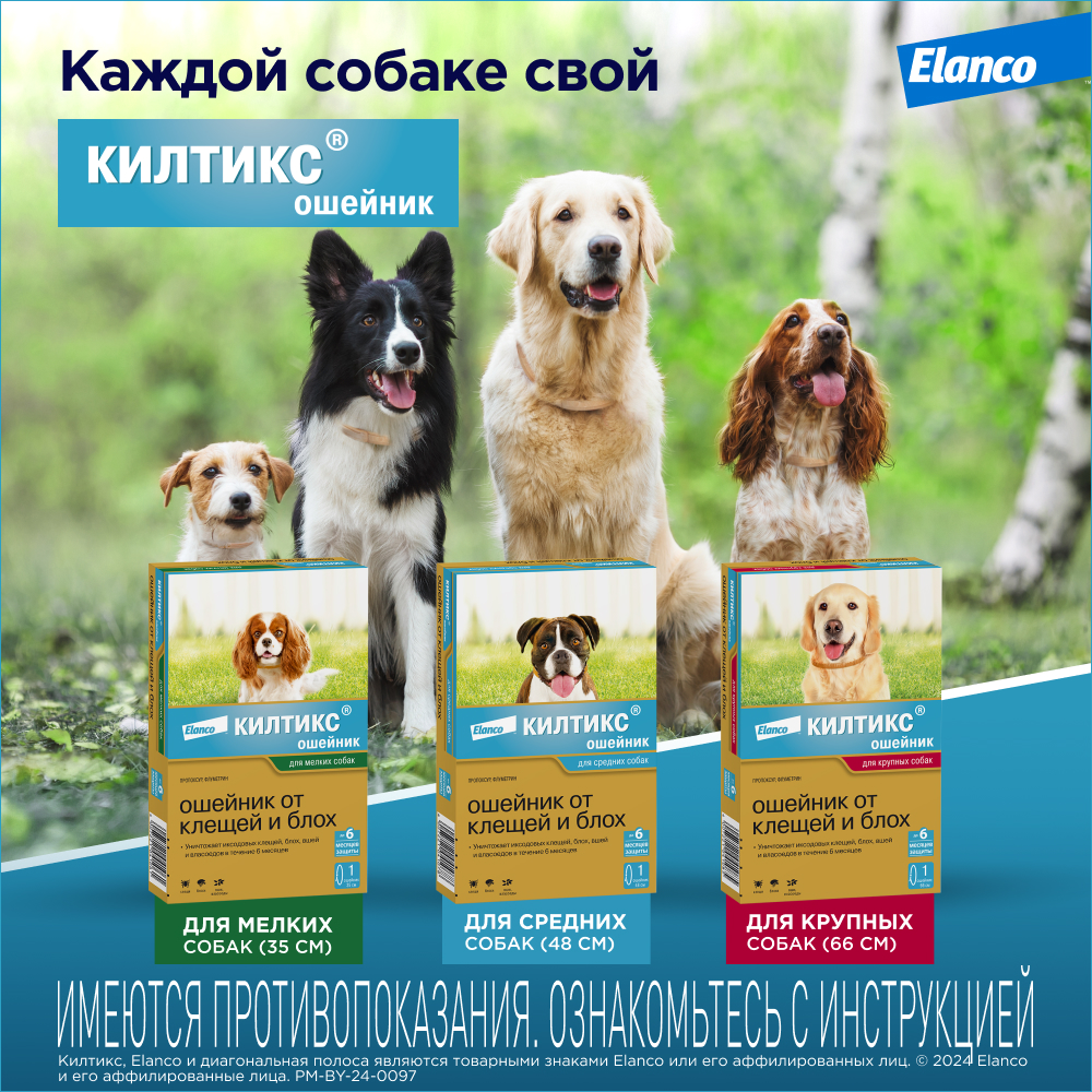 Ошейник для собак ELANCO Килтикс от блох и клещей 66см