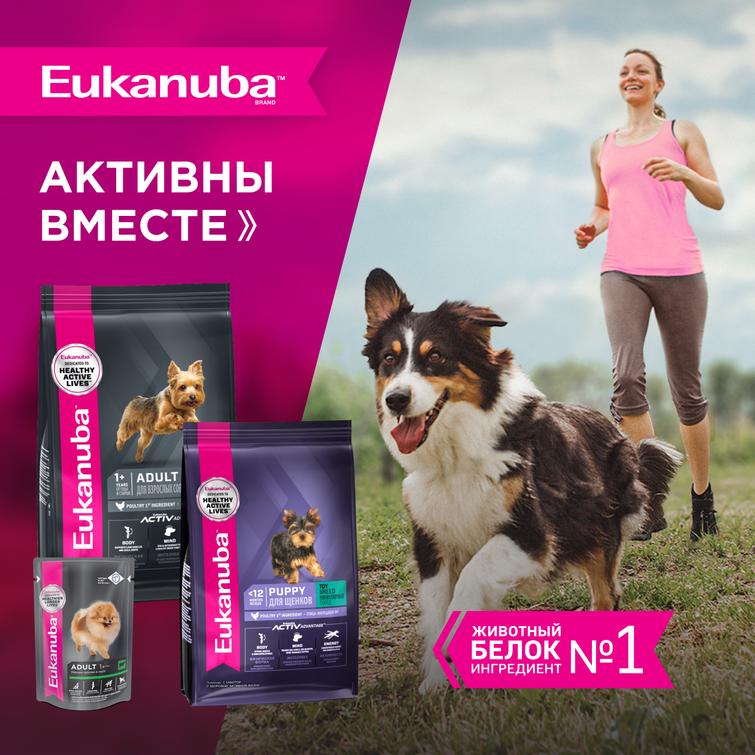 Корм для собак EUKANUBA Adult Toy Breed для миниатюрных пород сух.