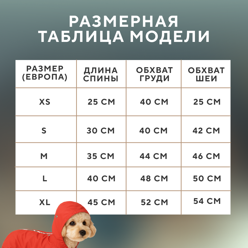 Дождевик для собак FOXIE Sport красный