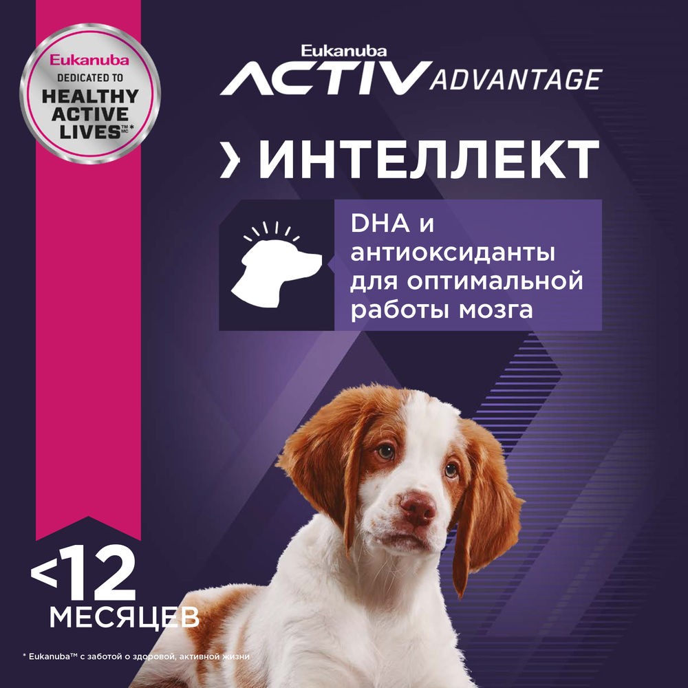 Корм для щенков EUKANUBA для средних пород сух.