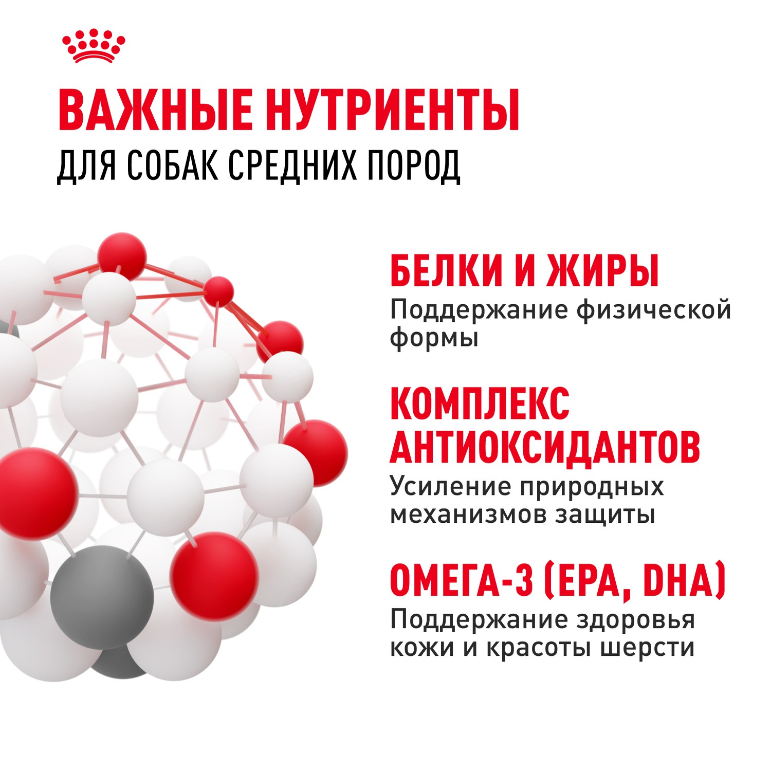 Корм для собак ROYAL CANIN Medium Adult для средних пород от 12 месяцев сух.