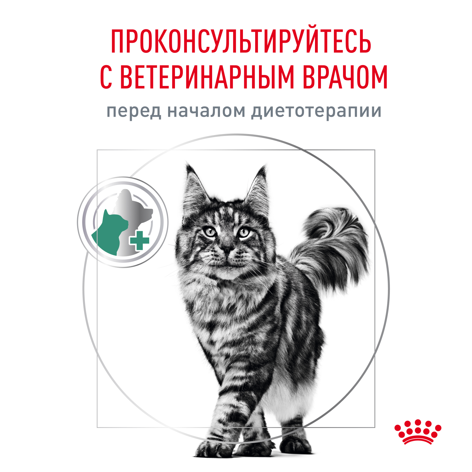 Корм для кошек ROYAL CANIN Diabetic при диабете пауч
