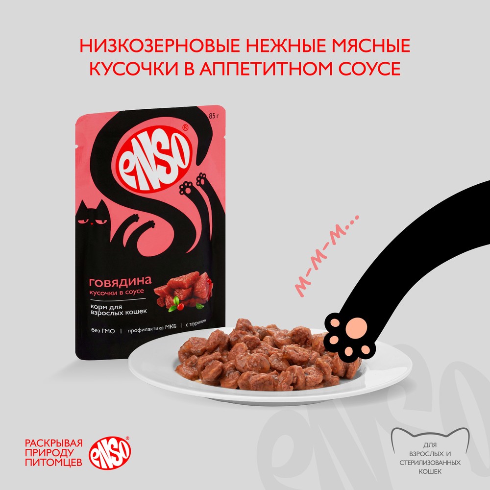 Корм для кошек ENSO кусочки в соусе с говядиной пауч